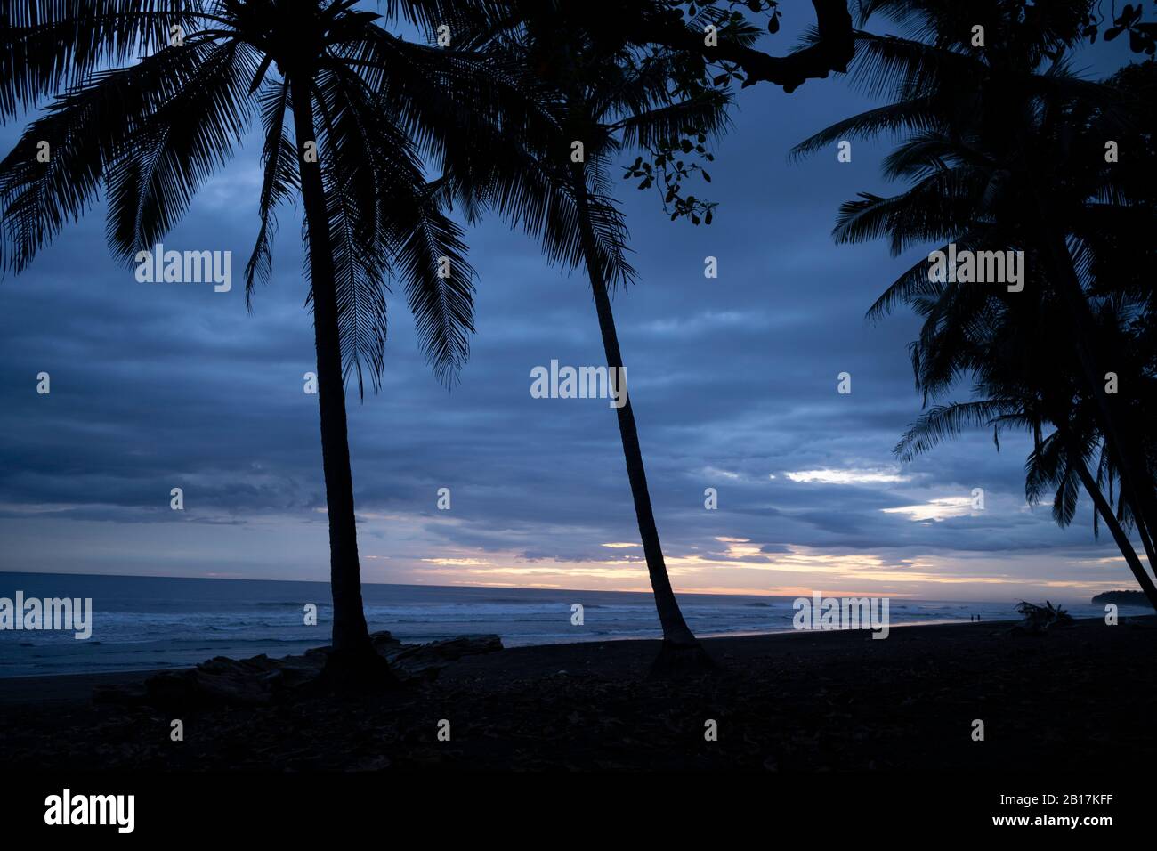 Costa Rica, Guanacaste Province, Silhouettes of palm trees growing on coastal beach at dusk Stock Photo