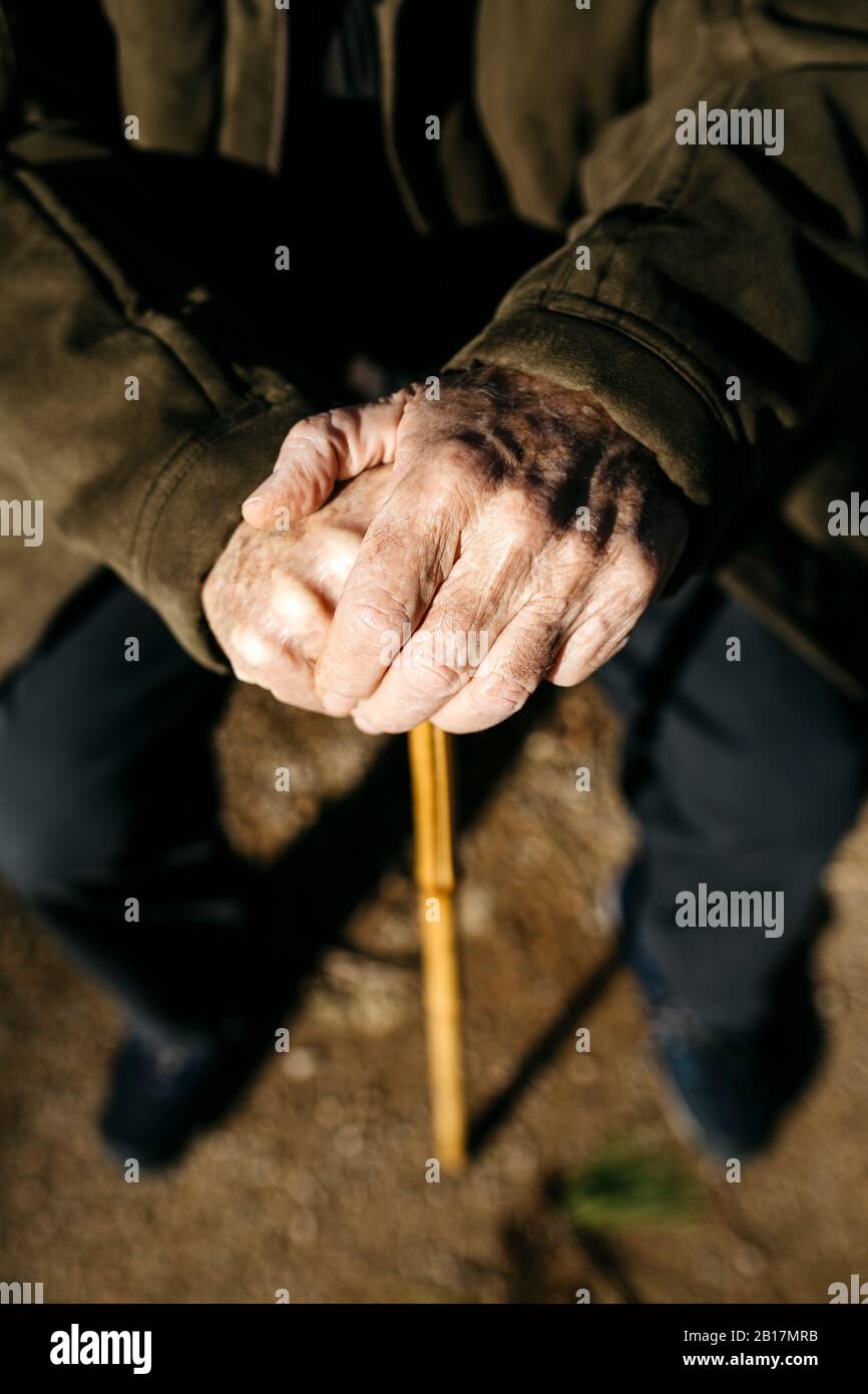 Mans hands cane hires stock photography and images Alamy