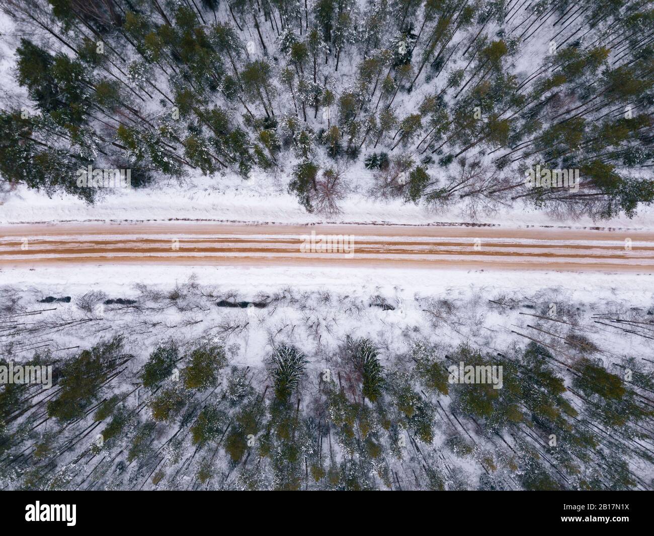 Russia, Leningrad region, Aerial view of road crossing forest in Winter Stock Photo