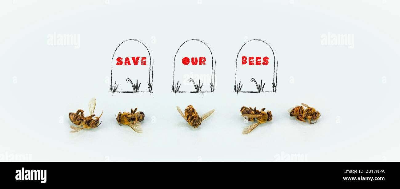 Save the bees hires stock photography and images Alamy