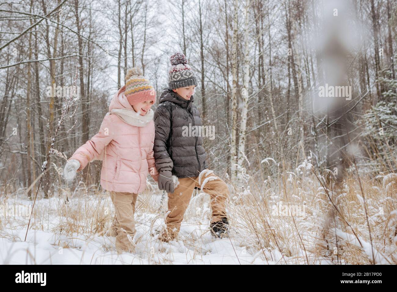 Two siblings walking hand in hand in winter forest Stock Photo - Alamy