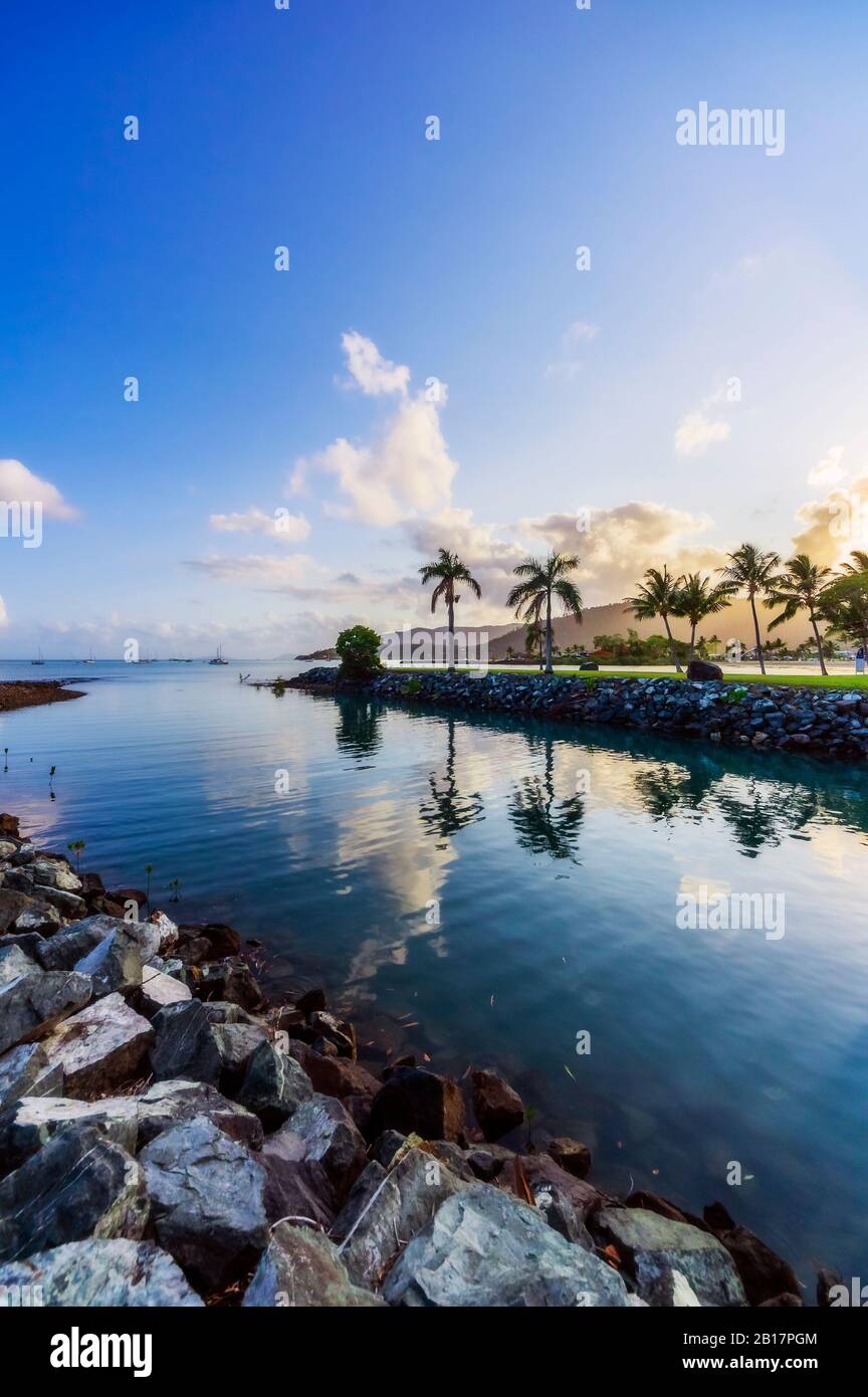 Beach and palm trees hi-res stock photography and images - Alamy