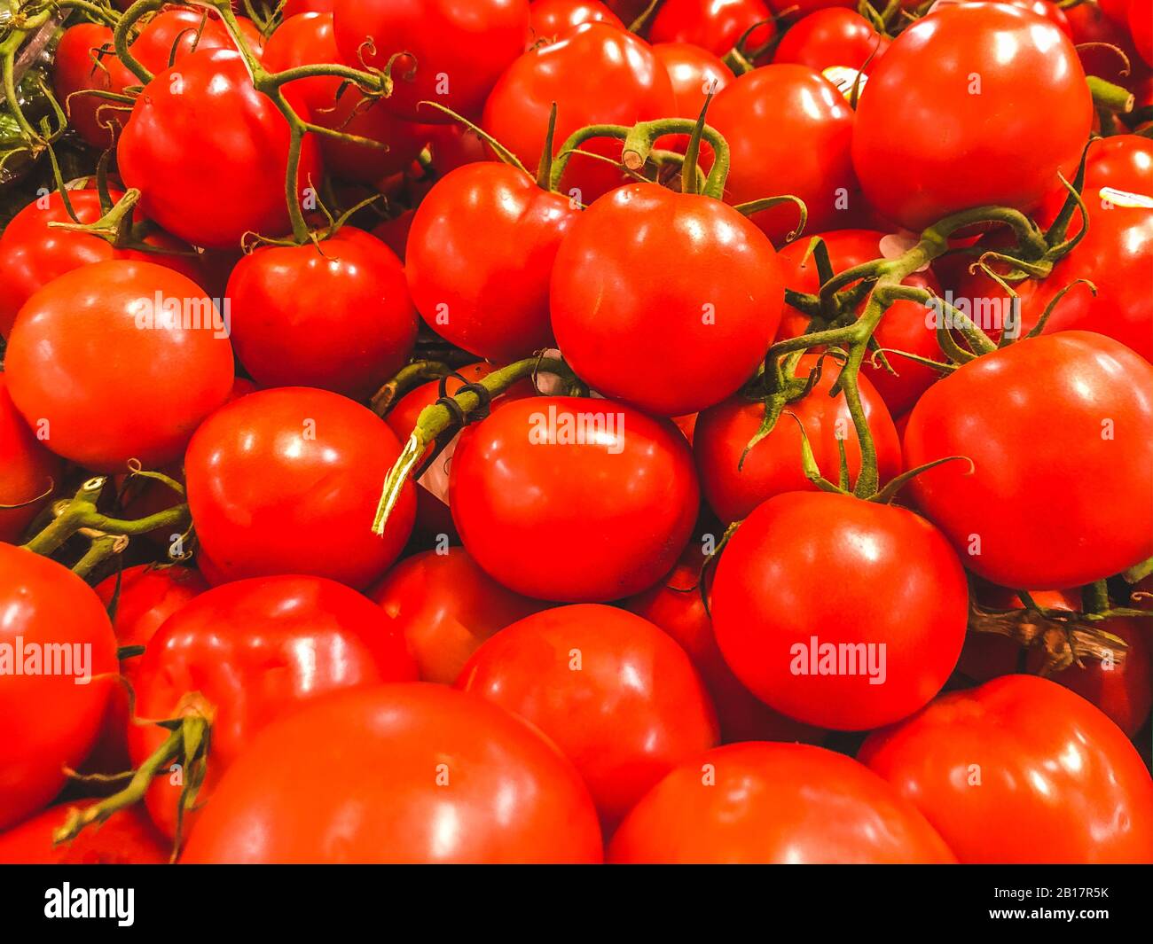 A group of tomatoes for sale at local supermarket Stock Photo