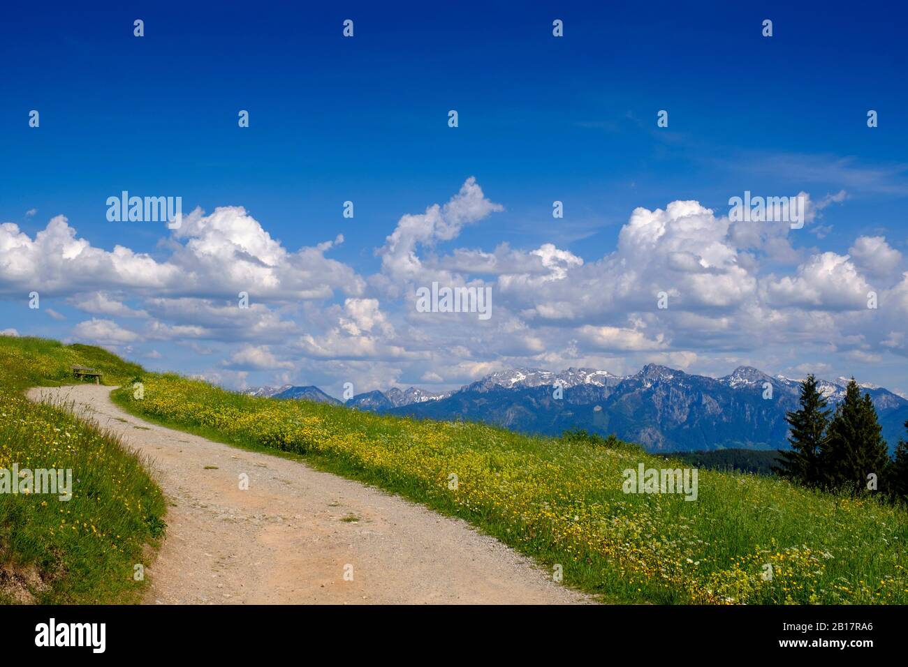 Wanderweg mit Ausblick über Almwiesen am Senkelekopf auf die Allgäuer Alpen, Ostallgäu, Allgäu, Schwaben, Deutschland Stock Photo