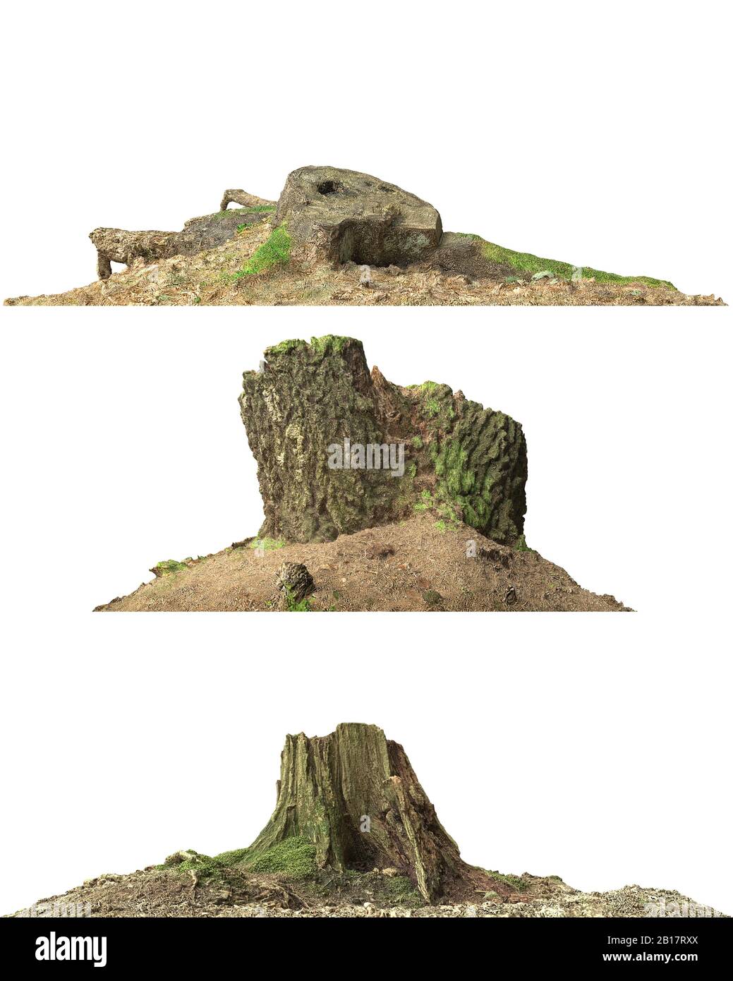 3d illustration stump dead tree isolated on white Stock Photo - Alamy