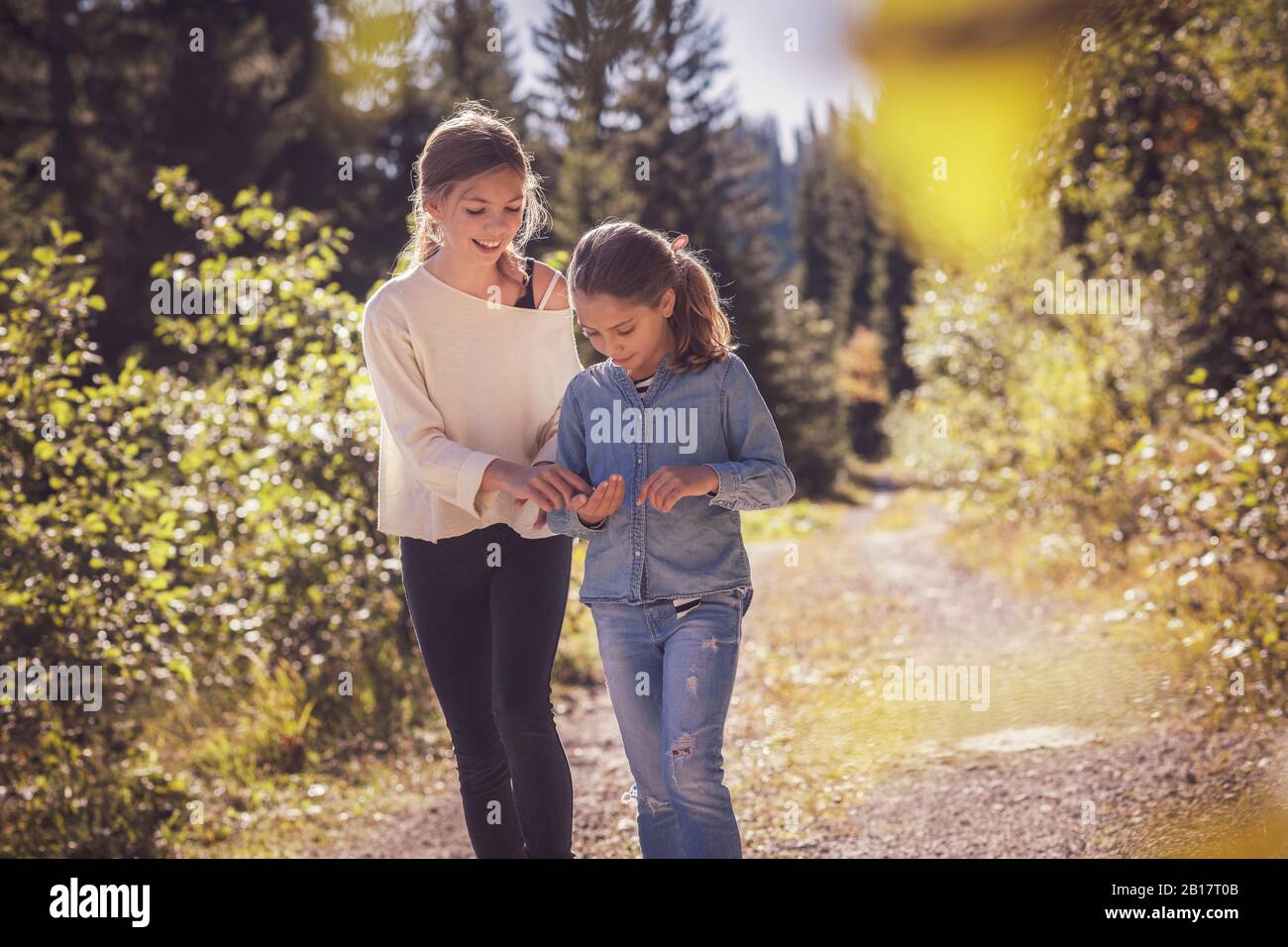 Two sisters walking on forest path Stock Photo - Alamy