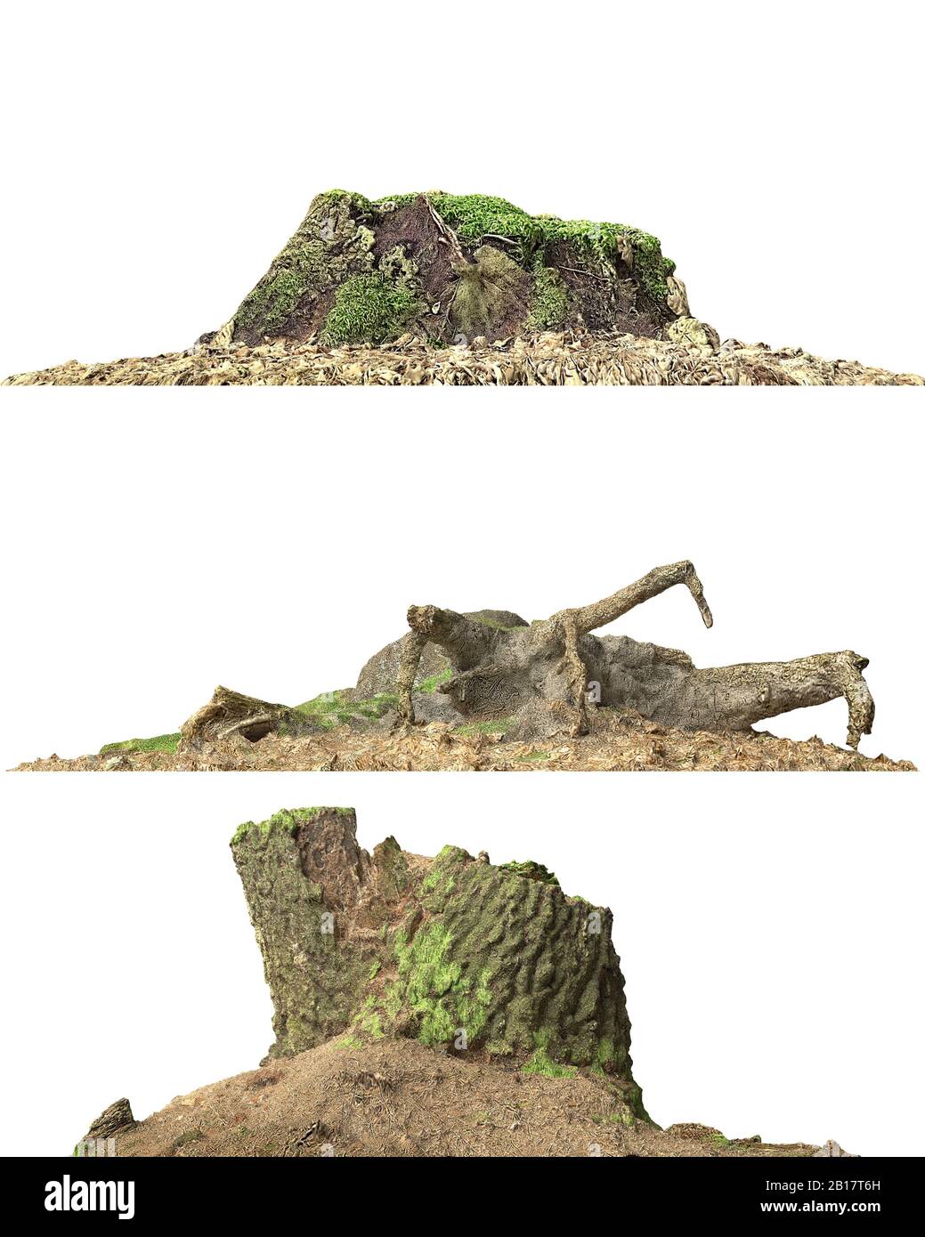 3d illustration stump dead tree isolated on white Stock Photo - Alamy