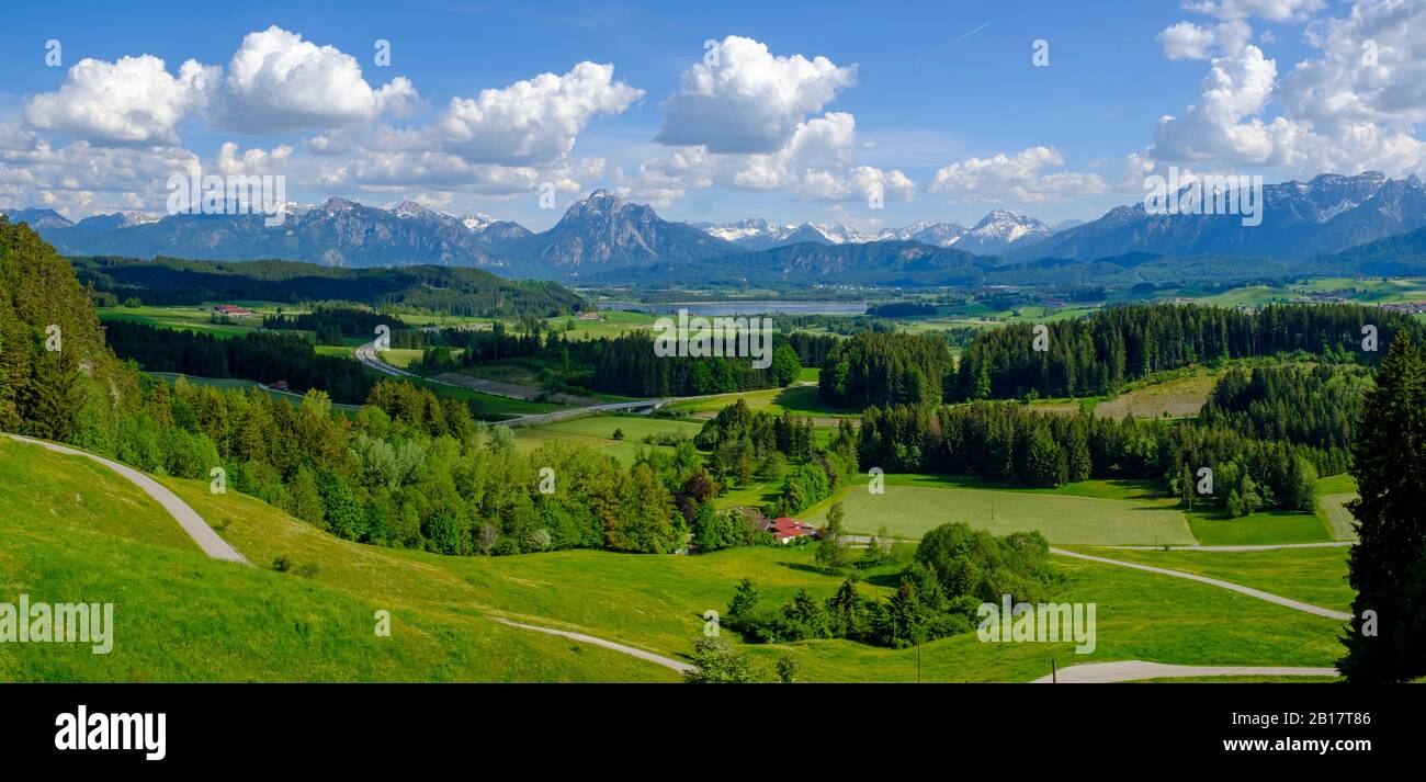 Ausblick über Almwiesen an der Beichelsteinalpe auf die Allgäuer Alpen, Ostallgäu, Allgäu, Schwaben, Deutschland Stock Photo