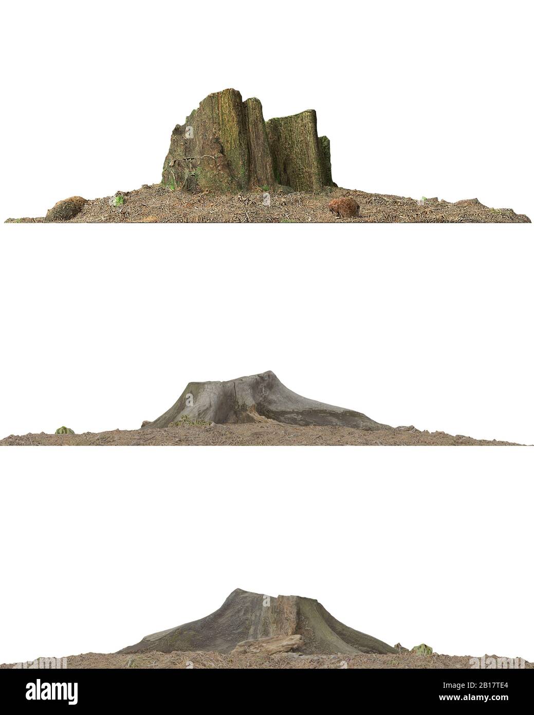 3d illustration stump dead tree isolated on white Stock Photo - Alamy