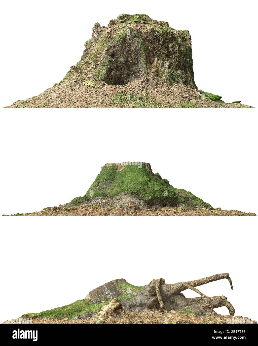 3d illustration stump dead tree isolated on white Stock Photo - Alamy