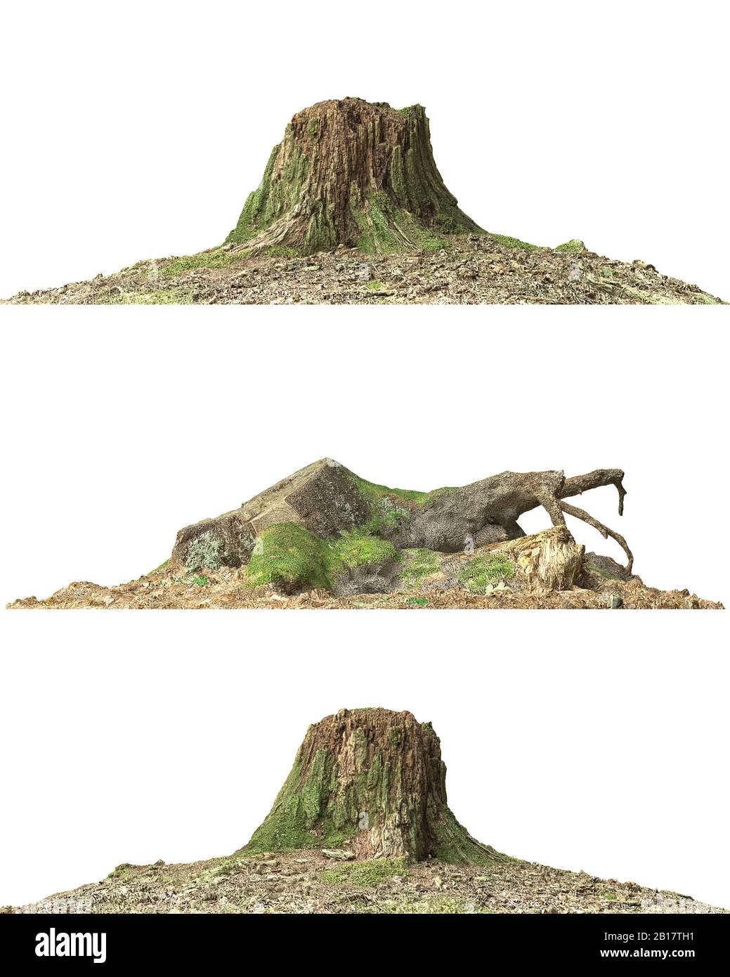3d illustration stump dead tree isolated on white Stock Photo - Alamy