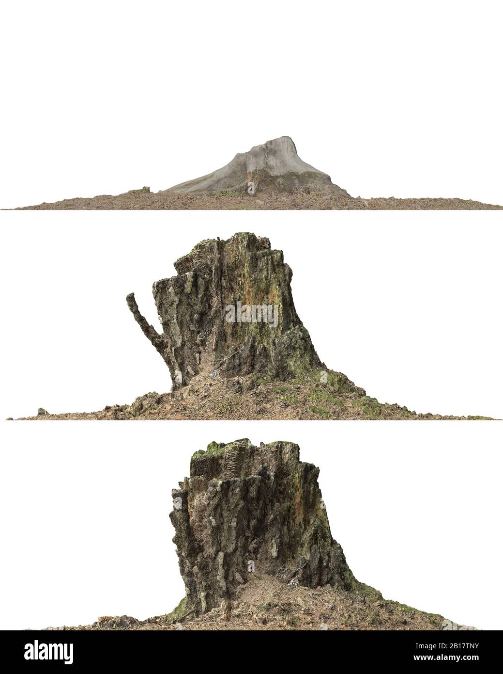 3d illustration stump dead tree isolated on white Stock Photo - Alamy