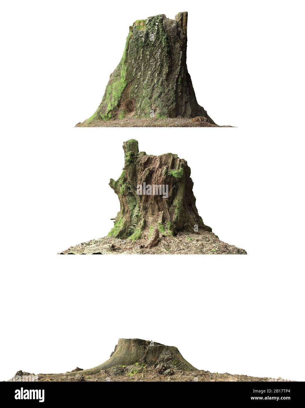 3d illustration stump dead tree isolated on white Stock Photo - Alamy