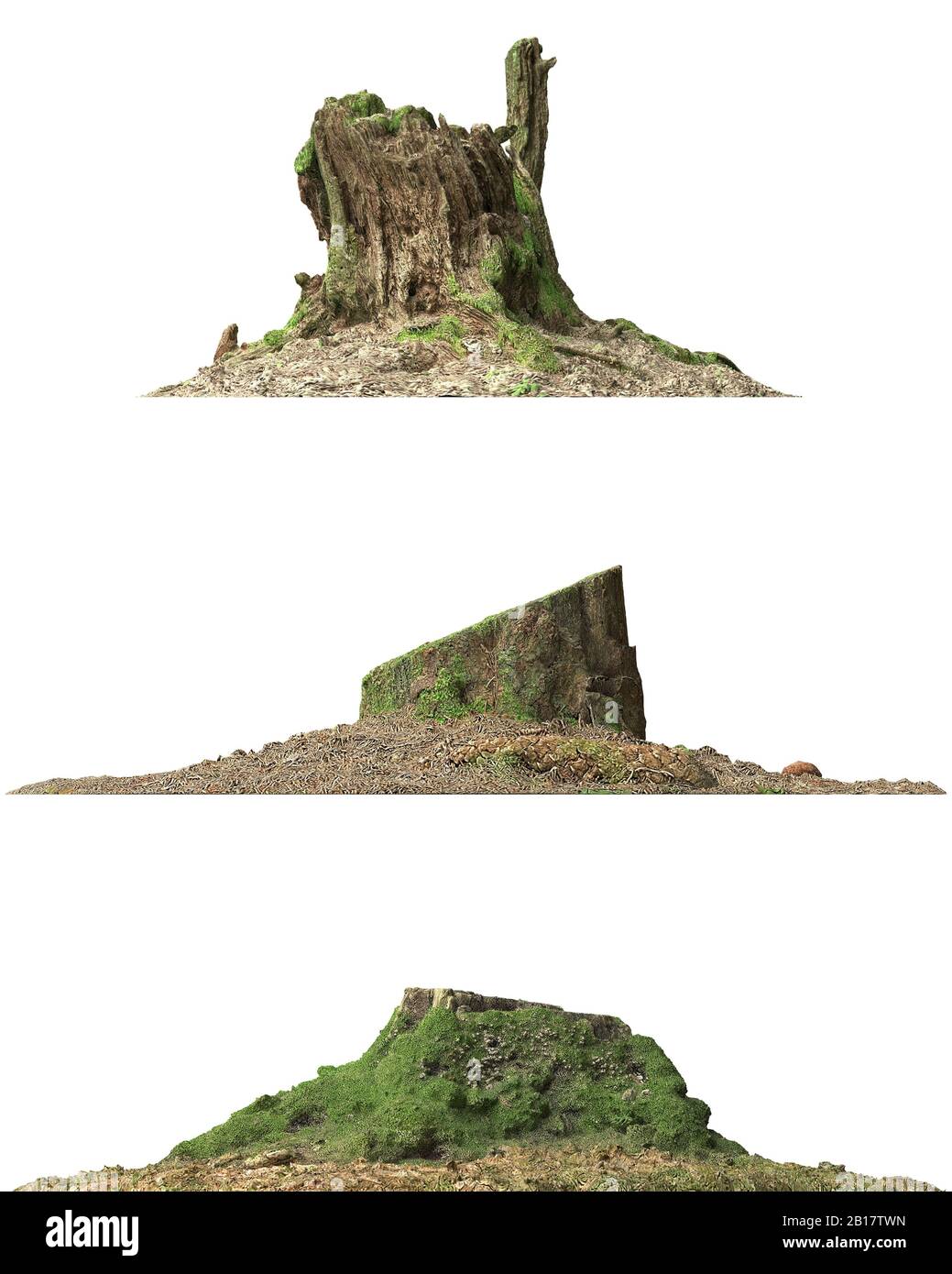 3d illustration stump dead tree isolated on white Stock Photo - Alamy