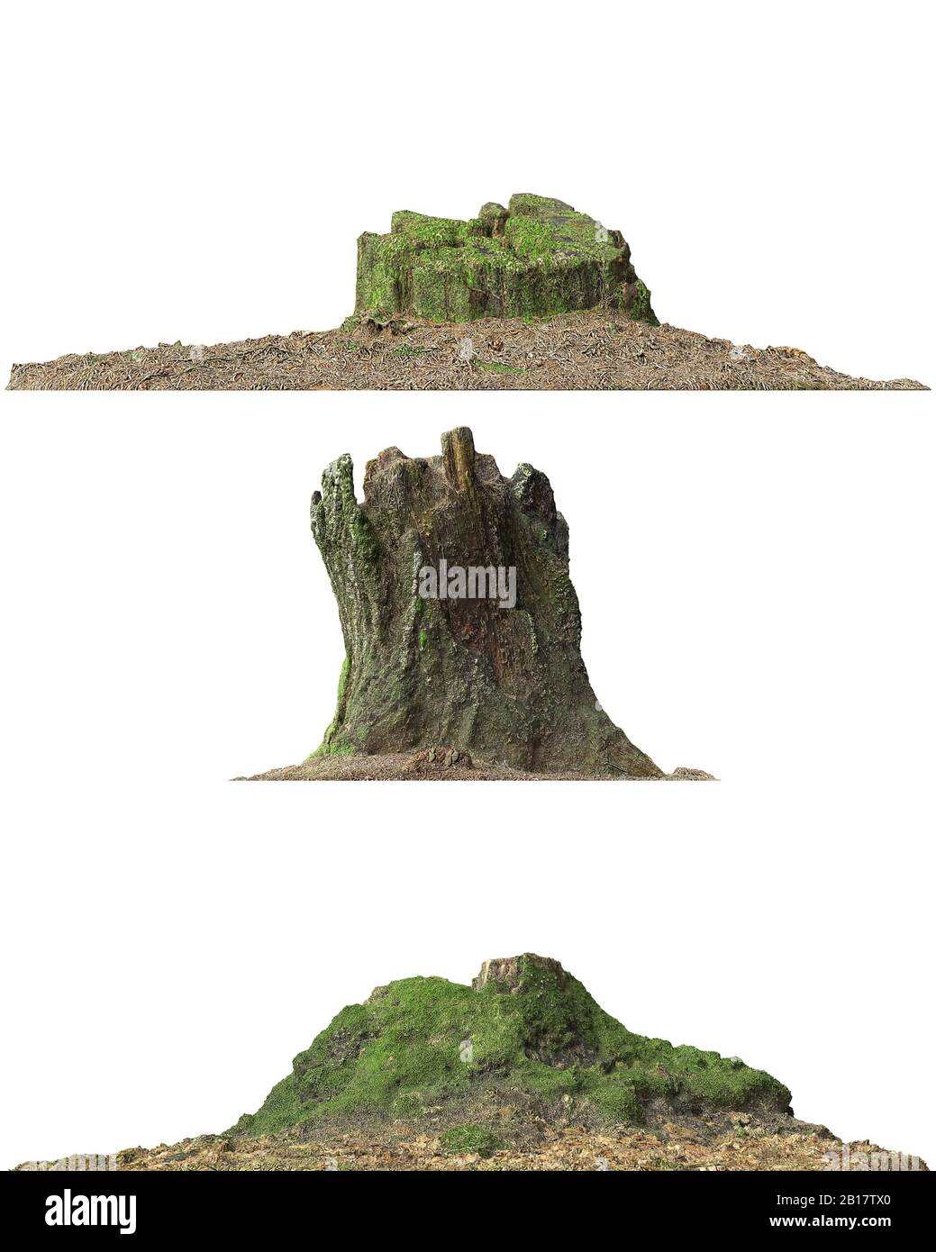 3d illustration stump dead tree isolated on white Stock Photo - Alamy