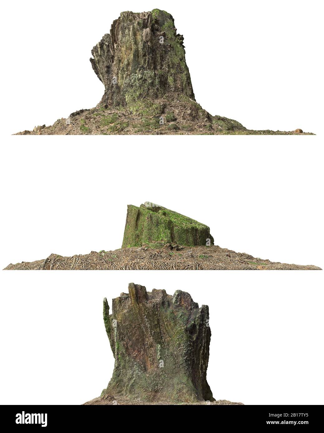 3d illustration stump dead tree isolated on white Stock Photo - Alamy