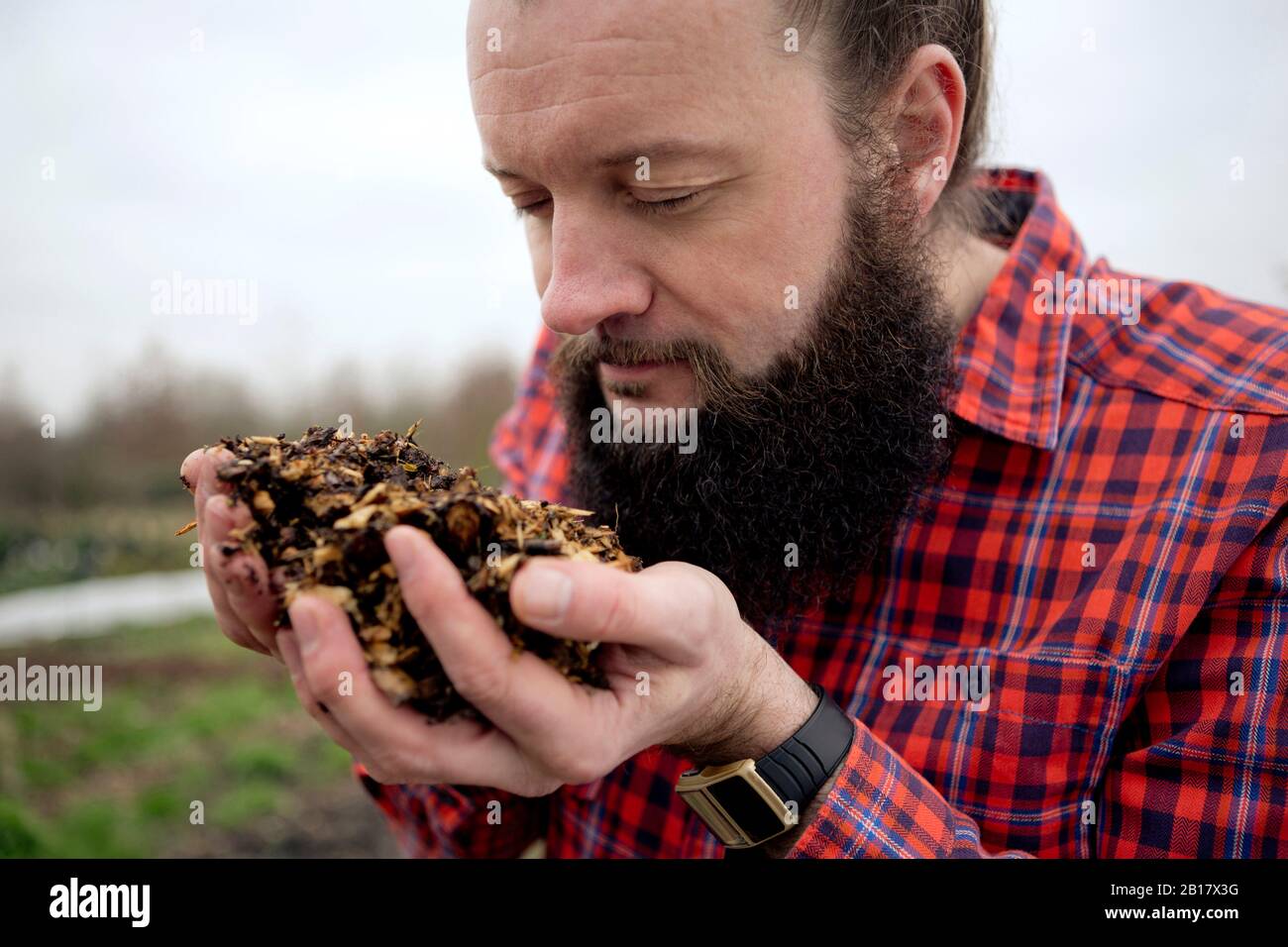 Gardener smelling mulch Stock Photo