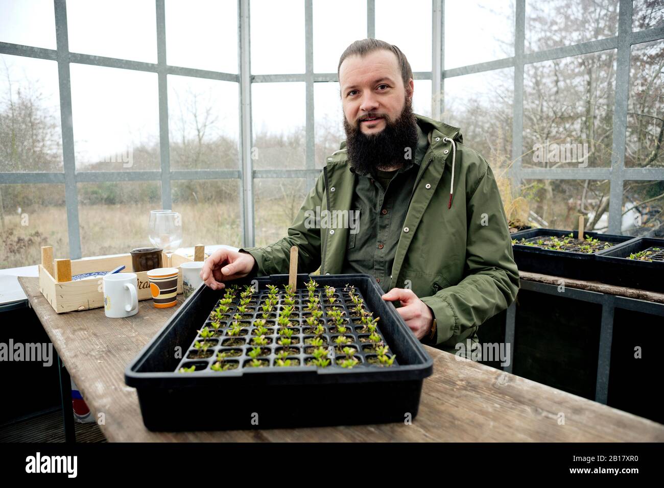 Gardener in grenhouse, checking spinach seedling is nursery pots Stock Photo