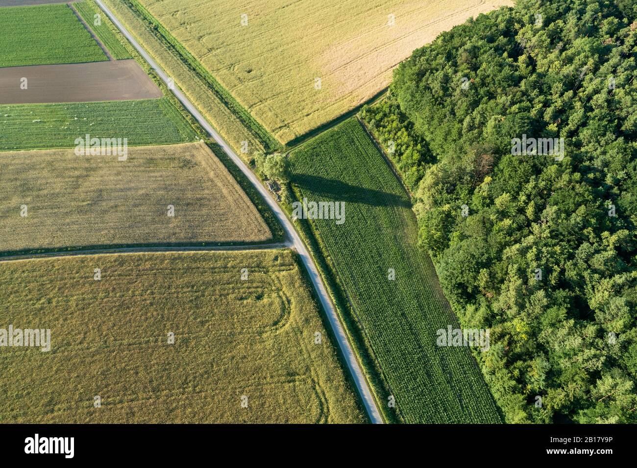 Aerial view of rural road in rural landscape with agricultural fields ...