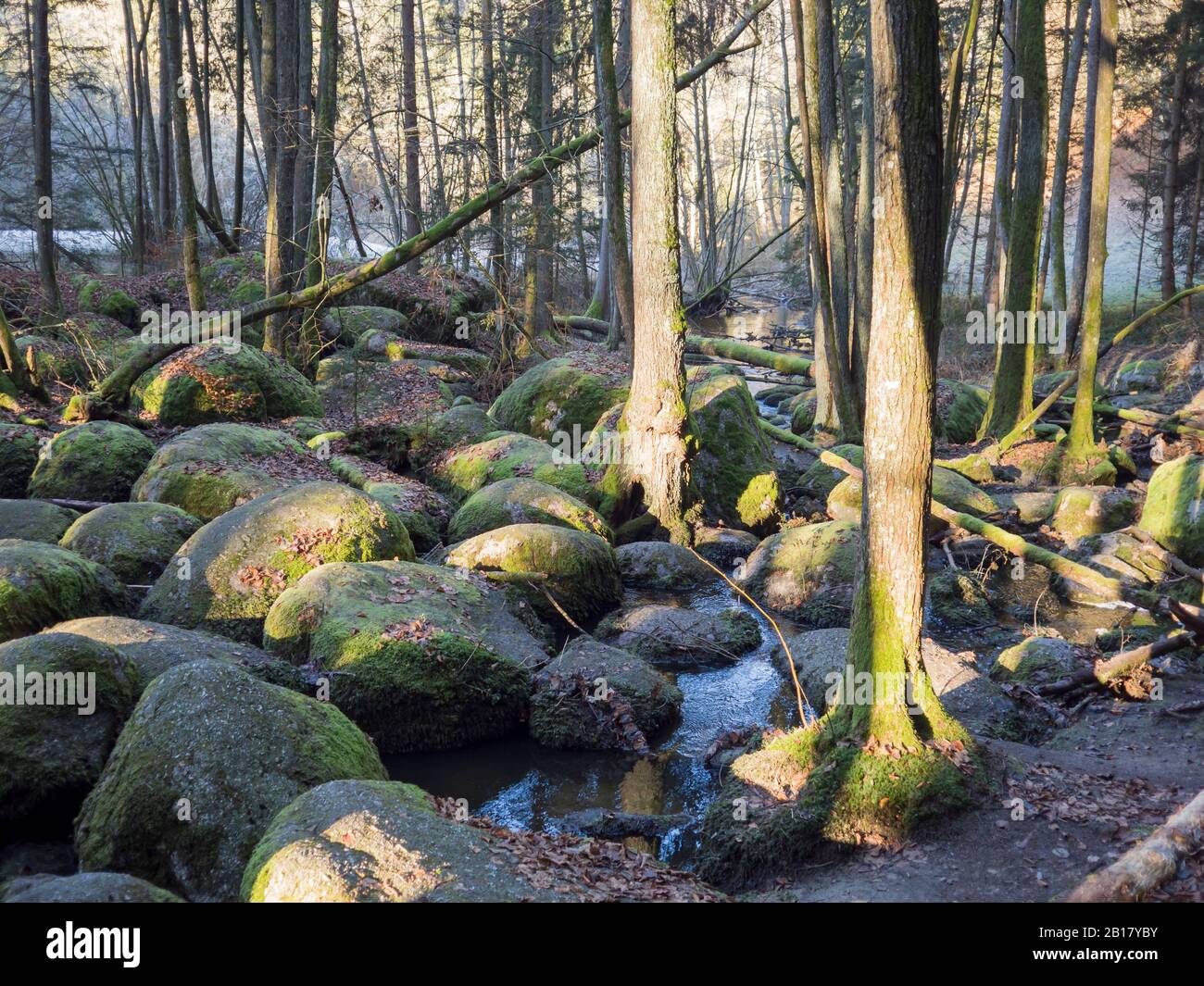 Germany, Bavaria, Stream flowing between mossy boulders in Upper Palatinate Forest Stock Photo