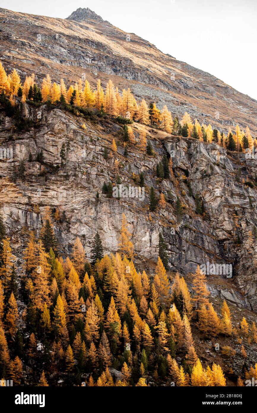 Austria, Carinthia, Cliff of Molltal Glacier in autumn Stock Photo