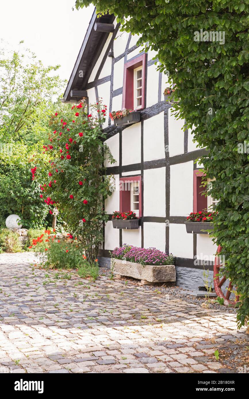 Germany, North Rhine Westfalia, Eifel, Monschauer Land, Monschau region, village Hoefen, Half timbered house surrounded with flowers Stock Photo