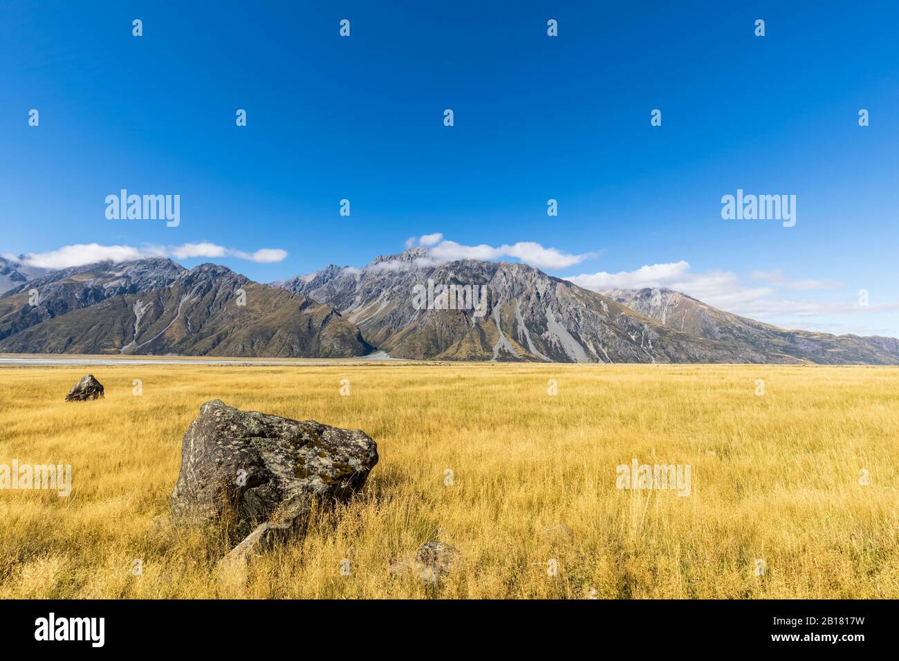 New Zealand, Oceania, South Island, Canterbury, Ben Ohau, Southern Alps (New Zealand Alps), Mount Cook National Park, Grassy field in Tasman Valley Stock Photo