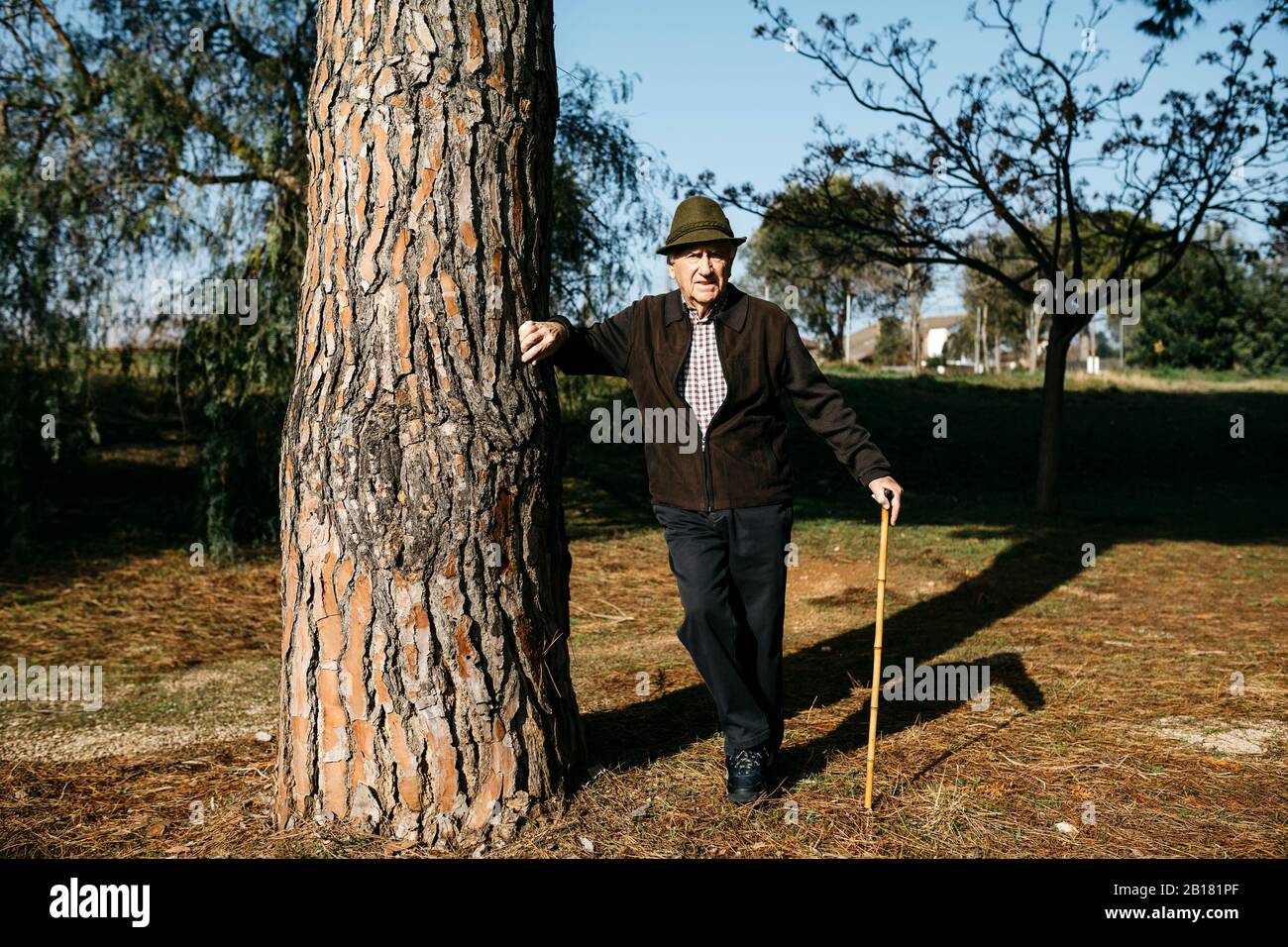 Old man with cane, leaning on tree in park Stock Photo