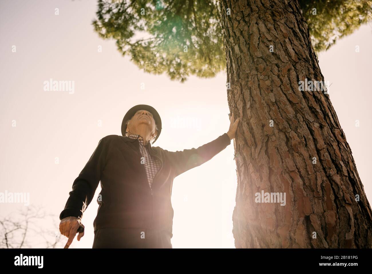 Old man with cane, leaning on tree in park Stock Photo