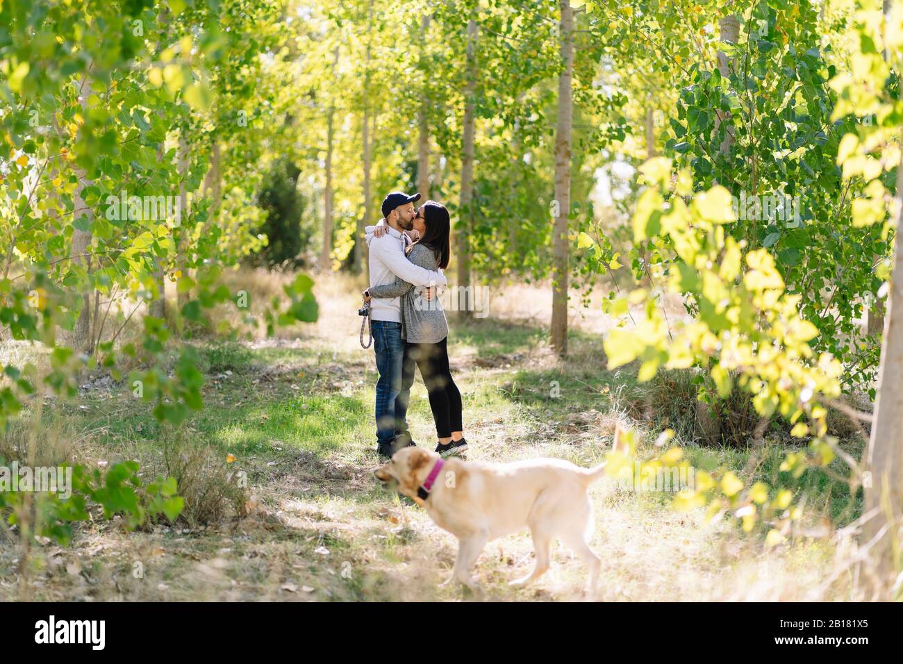 A couple kissing in a park hi-res stock photography and images - Alamy