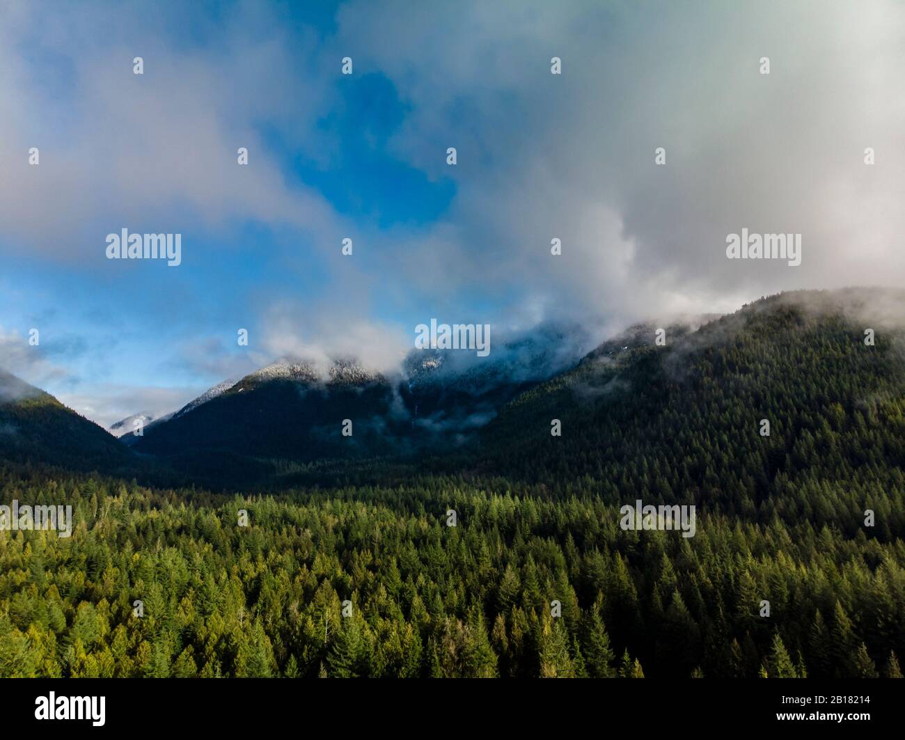 Drone view snowy valley forest hi-res stock photography and images - Alamy