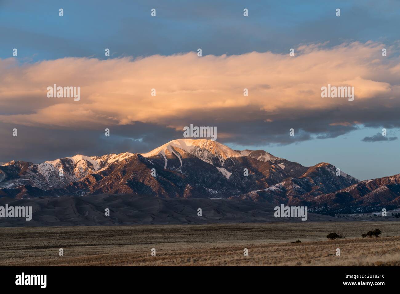 Escape to the Great Outdoors: Your Guide to Colorado's Alamosa State Park