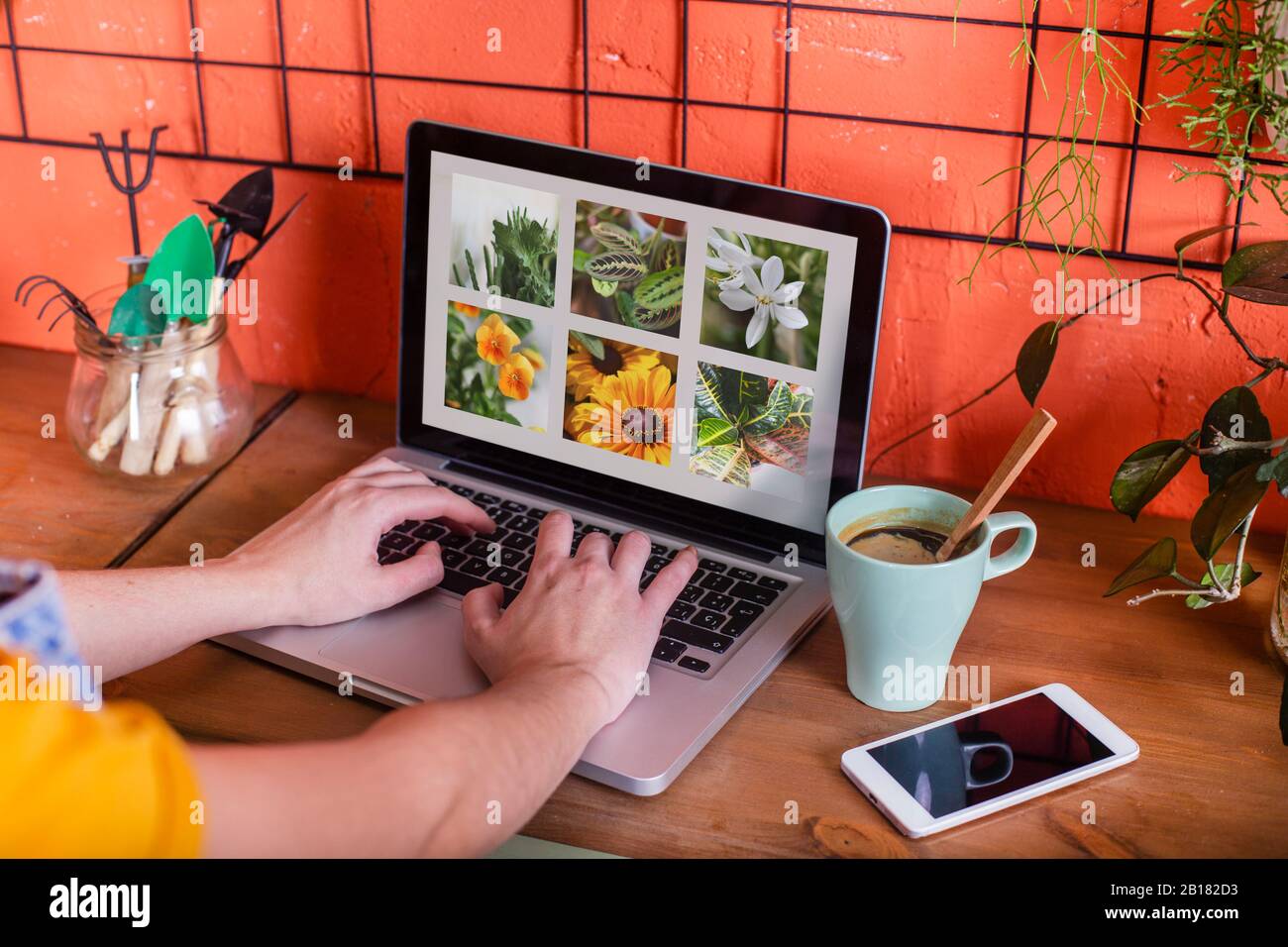Close-up of woman using laptop with flowers on screen Stock Photo