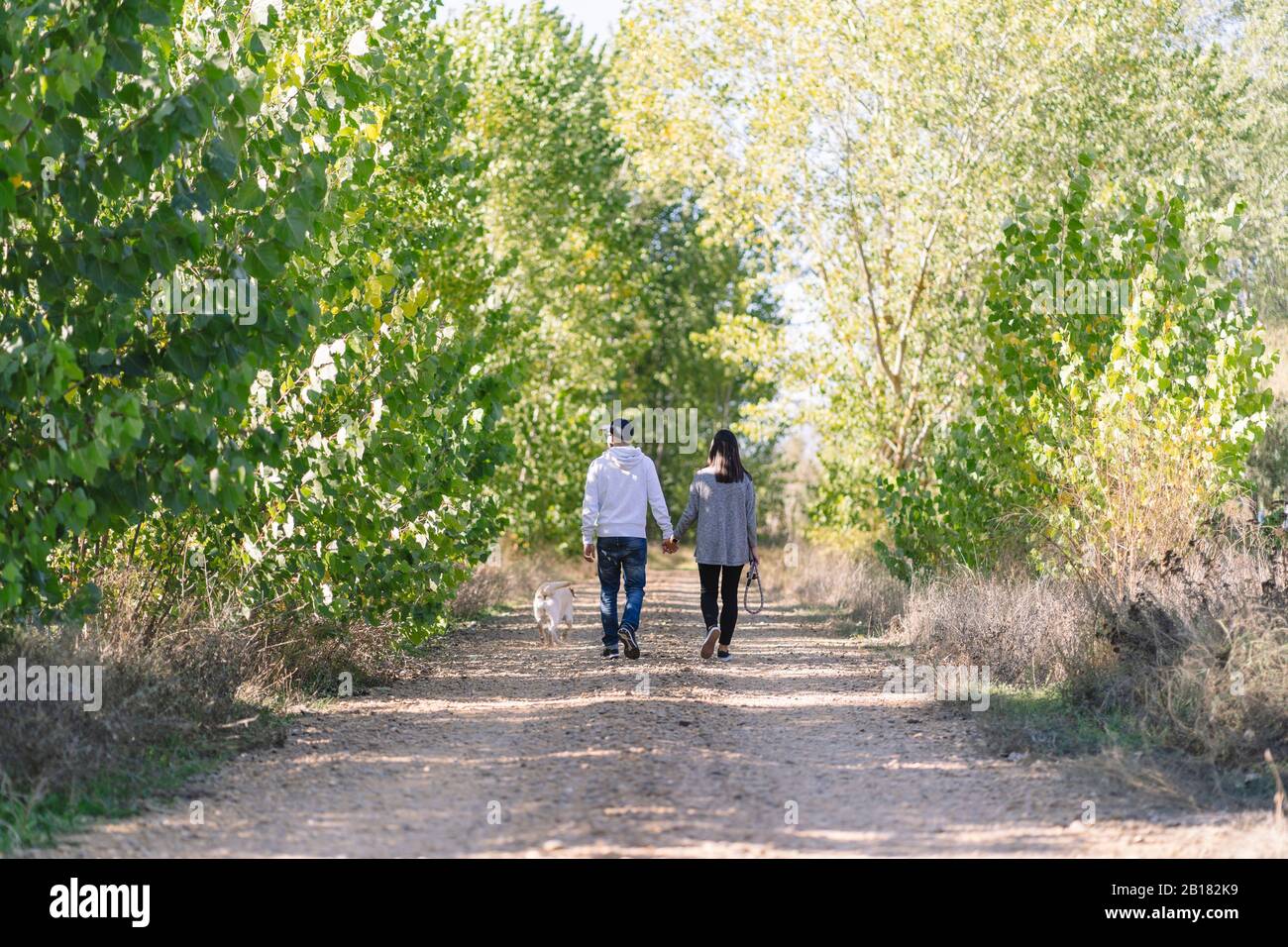 A couple walking with their dog through a park Stock Photo