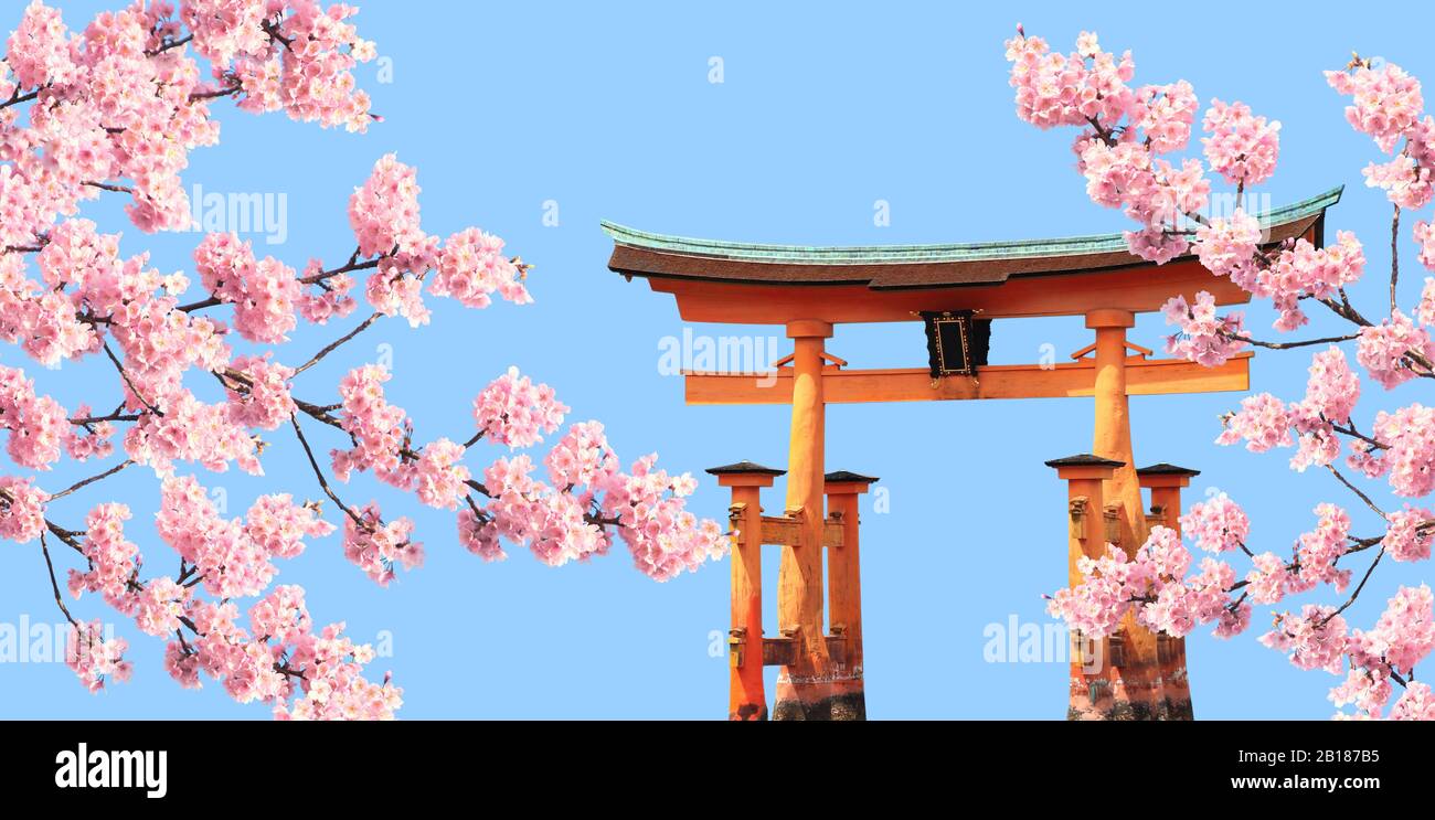 Branch of the blooming sakura with pink flowers and Floating Torii gate,  Itsukushima Shrine, Miyajima island, Hiroshima prefecture. Spring sakura  blos Stock Photo - Alamy