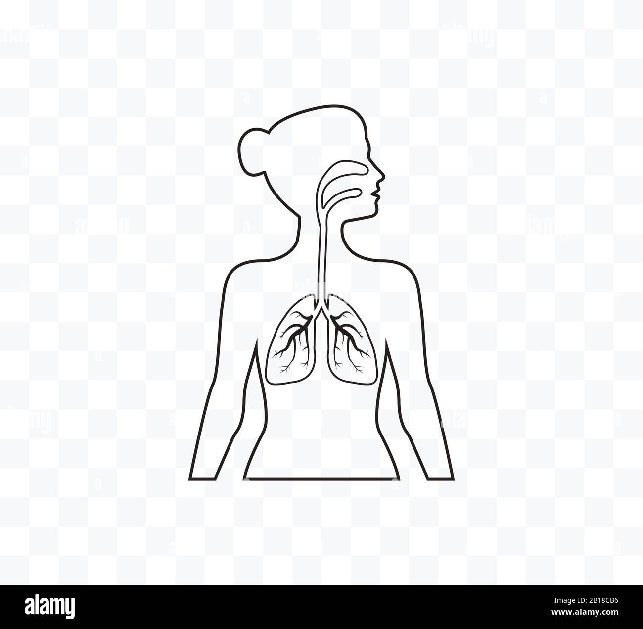 Lungs woman body silhouette. Vector illustration, flat design. Stock Vector