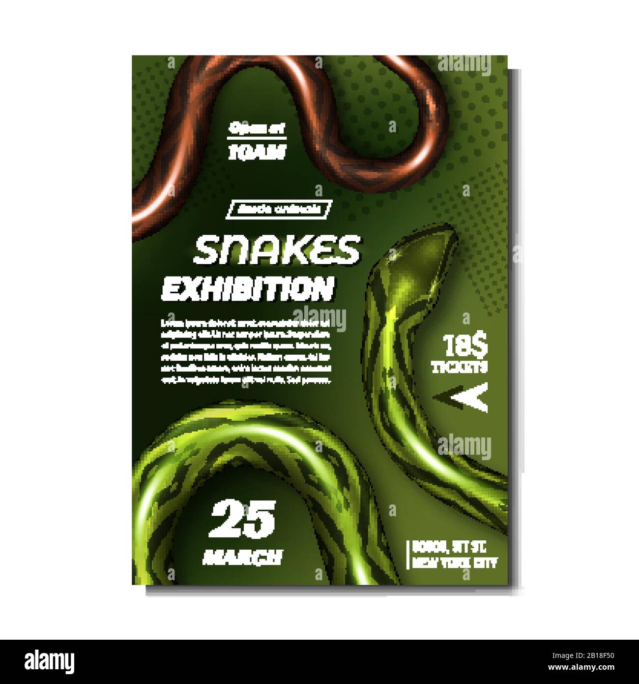 Venomous snakes endemic Stock Vector Images - Alamy
