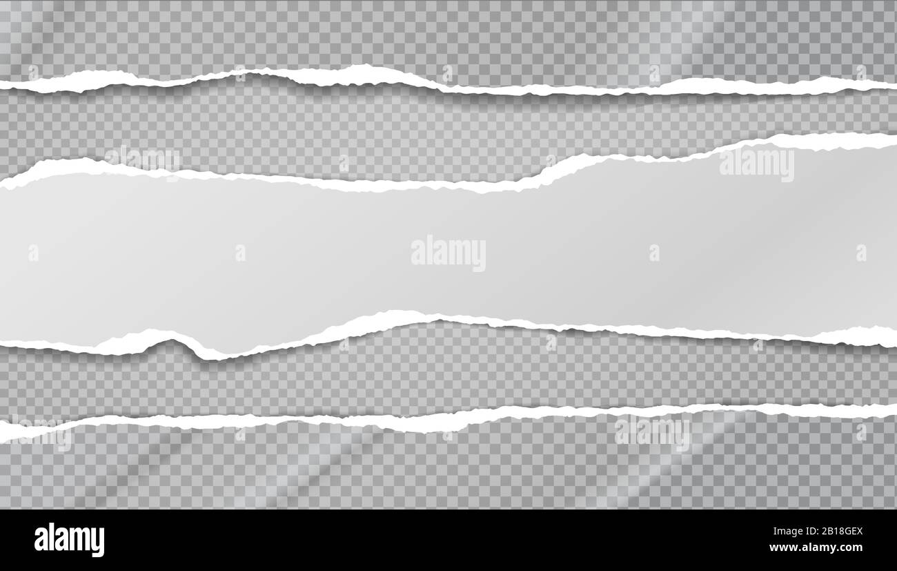 Torn, ripped pieces of horizontal wavy paper with soft shadow is on ...