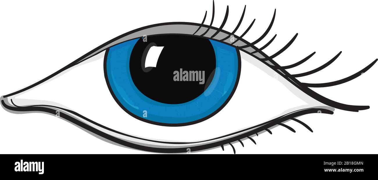 Human blue eye Stock Vector Image & Art Alamy