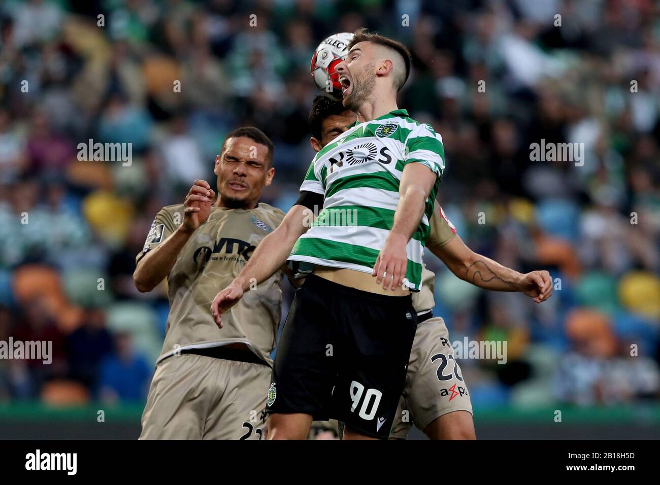 Lisbon, Portugal. 23rd Feb, 2020. Andraz Sporar (front) of Sporting CP competes during the Primeira Liga football match between Sporting CP and Boavista FC in Lisbon, Portugal, on Feb. 23, 2020. Credit: Pedro Fiuza/Xinhua/Alamy Live News Stock Photo