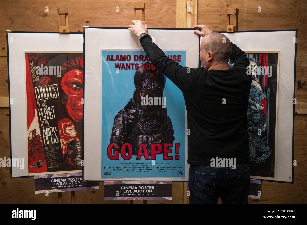 Prop Store poster consultant Mark Hochman adjusts a Mondo poster for Alamo Drafthouse, which is part of a set of six posters for the Planet of the Apes movies (1968 - 1973) (estimate £500 - 700) during a preview for the Prop Store's forthcoming cinema poster auction. Stock Photo