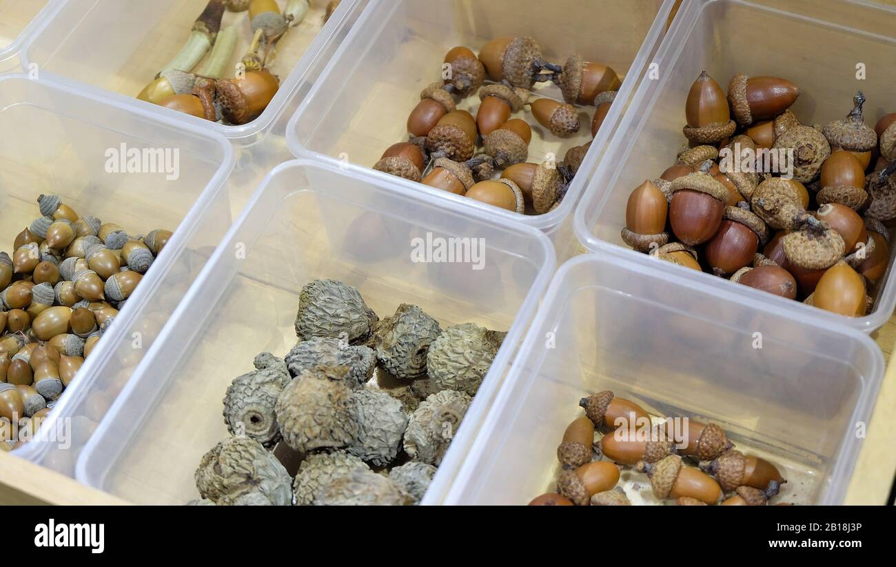 Variety crafts hi-res stock photography and images - Alamy