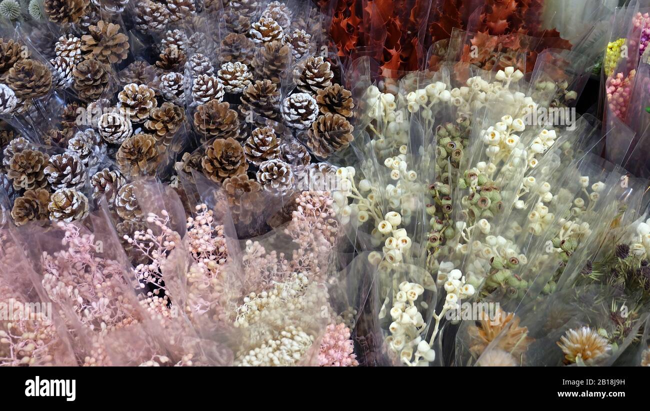 A variety of dried flowers and pine cones, wrapped in individual transparent wrapper, displayed at a flower store. Stock Photo