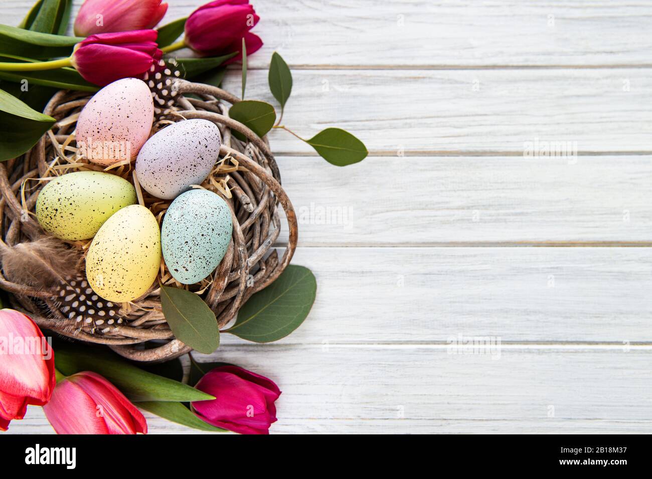 Easter background with colorful eggs in nest and pink tulips on a white ...