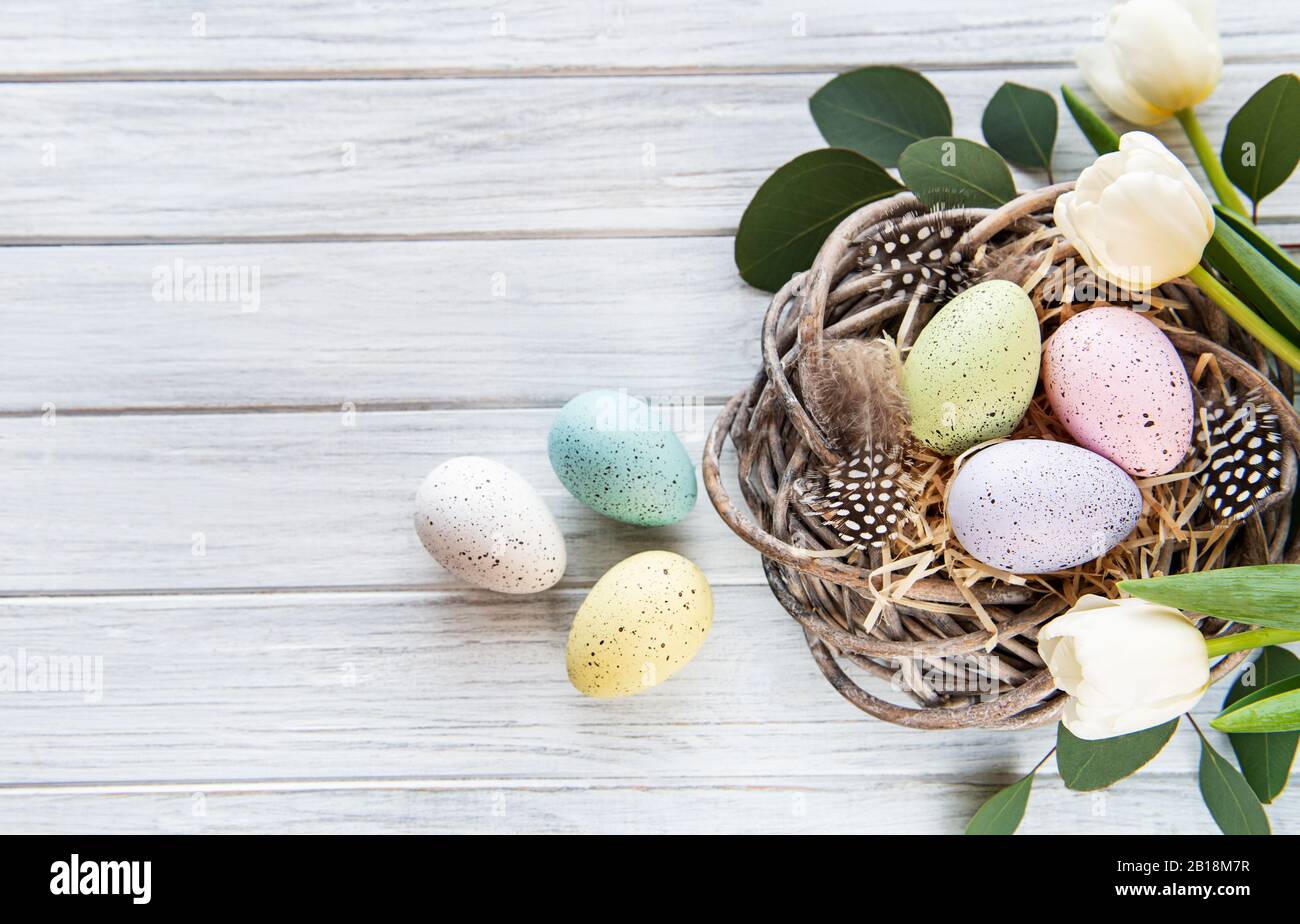 Easter background with colorful eggs in nest and pink tulips on a white ...