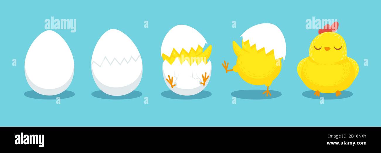 Chicken hatching. Cracked chick egg, hatch eggs and hatched easter chicks cartoon vector illustration Stock Vector