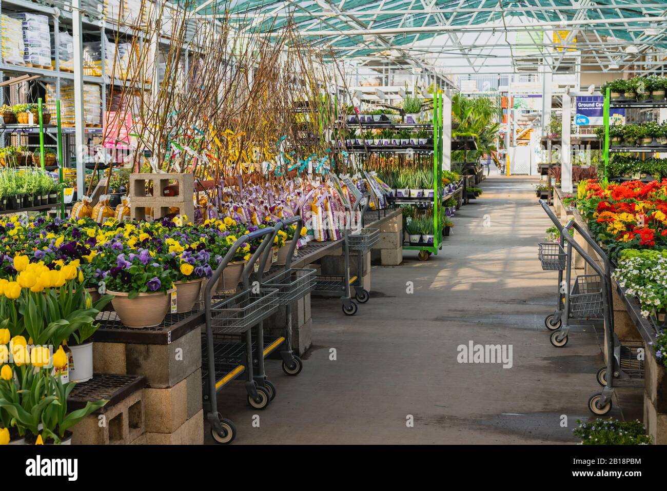 Santa Maria California Usa February 22 2020 Garden Center And Floral Market Variety Of Flowers Trees Plants Different Types Of Potting Soil Stock Photo Alamy