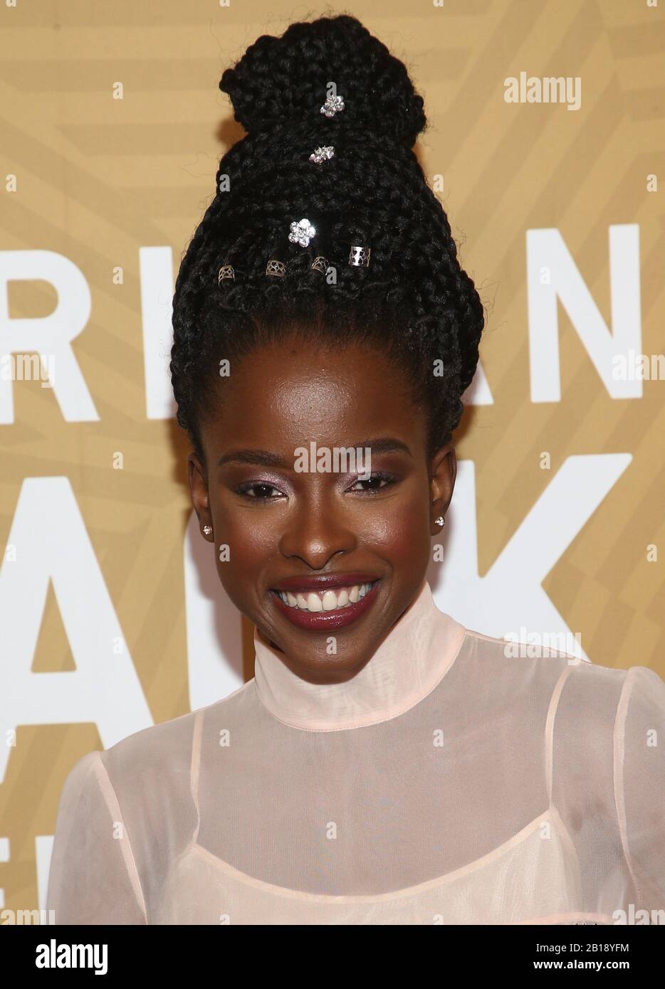 Beverly Hills, Ca. 23rd Feb, 2020. Amanda Gorman, at the American Black