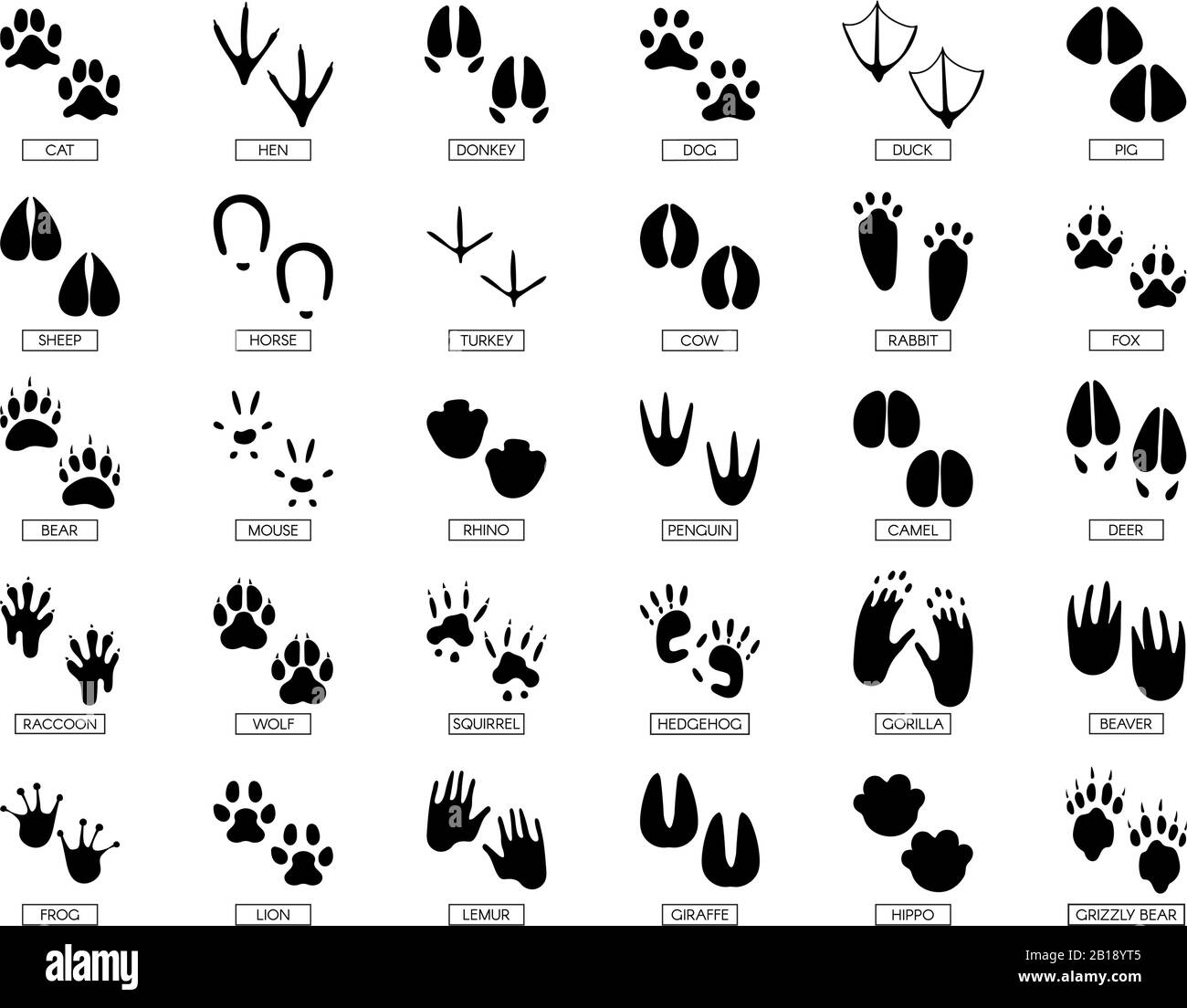 Animals footprints. Animal feet silhouette, frog footprint and pets foots silhouettes prints vector illustration set Stock Vector