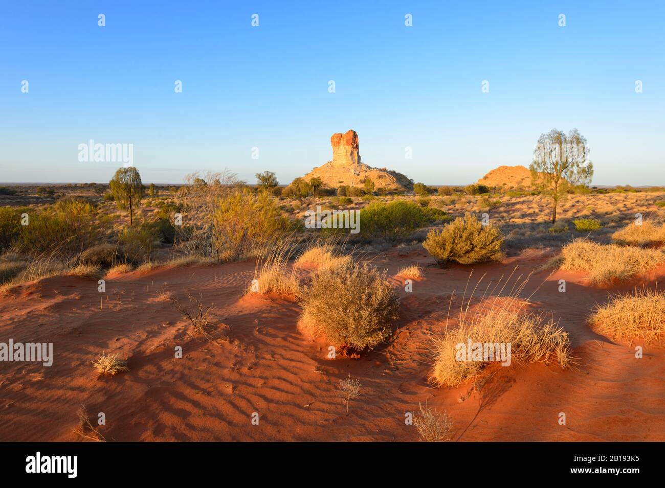 View of the Australian Outback in the golden morning light at Chambers Pillar, Northern Territory, NT, Australia Stock Photo